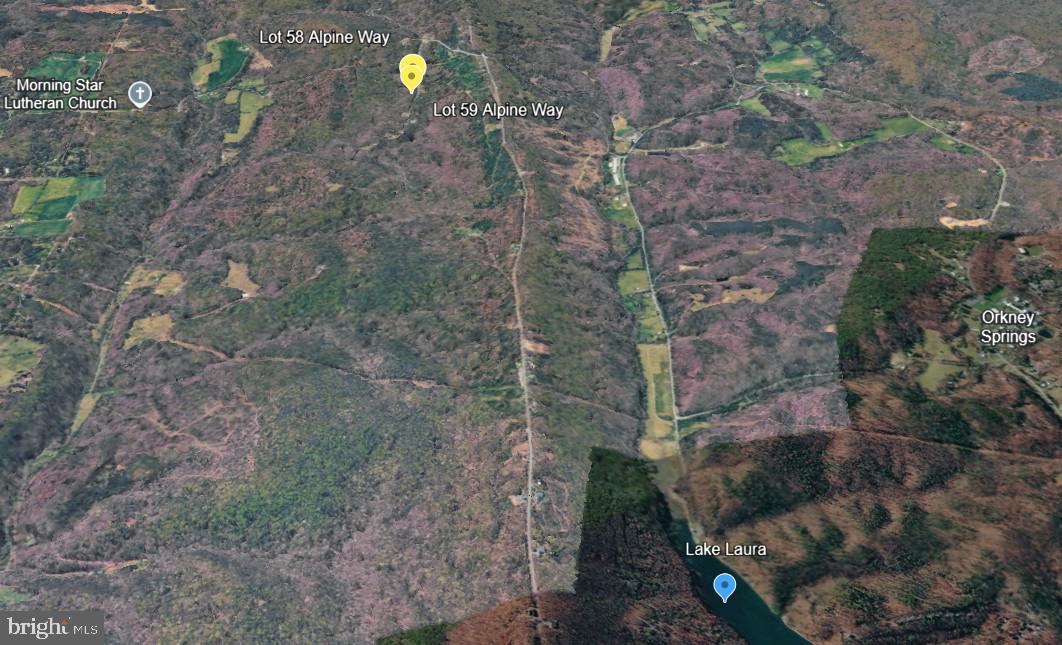 58-59 Alpine Way Mount Mount Jackson, VA 22842 - Photo 4 of 5 Close to the lake