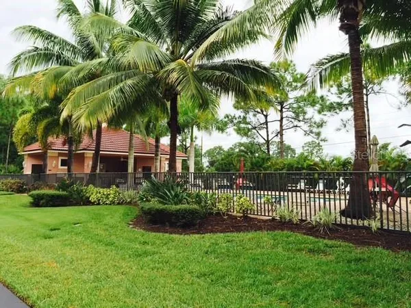 a view of a yard with plants