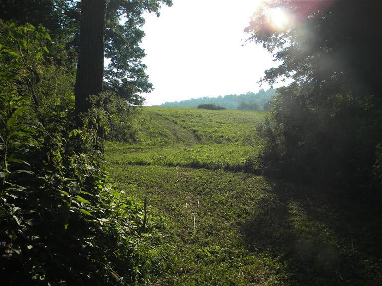 5005 Elliston Mt Zion Road Dry Ridge, KY 41035 - Photo 26 of 30