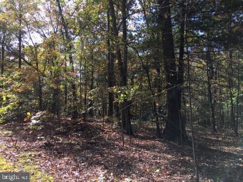 Lot 11 Fable Road Hedgesville, WV 25427 - Photo 1 of 4 Gallery Image 1