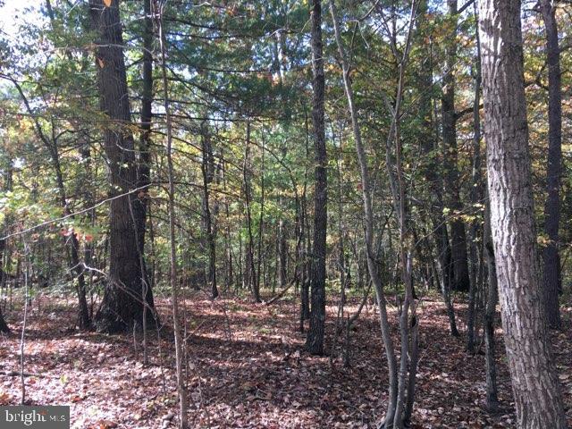 Lot 11 Fable Road Hedgesville, WV 25427 - Photo 2 of 4 Gallery Image 2