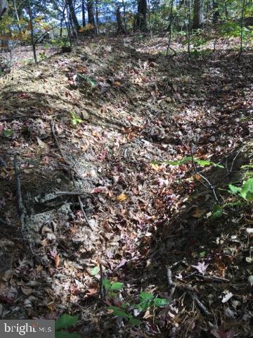 Lot 11 Fable Road Hedgesville, WV 25427 - Photo 3 of 4 Gallery Image 3
