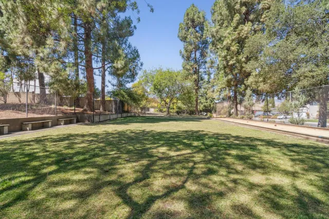 a view of yard with trees