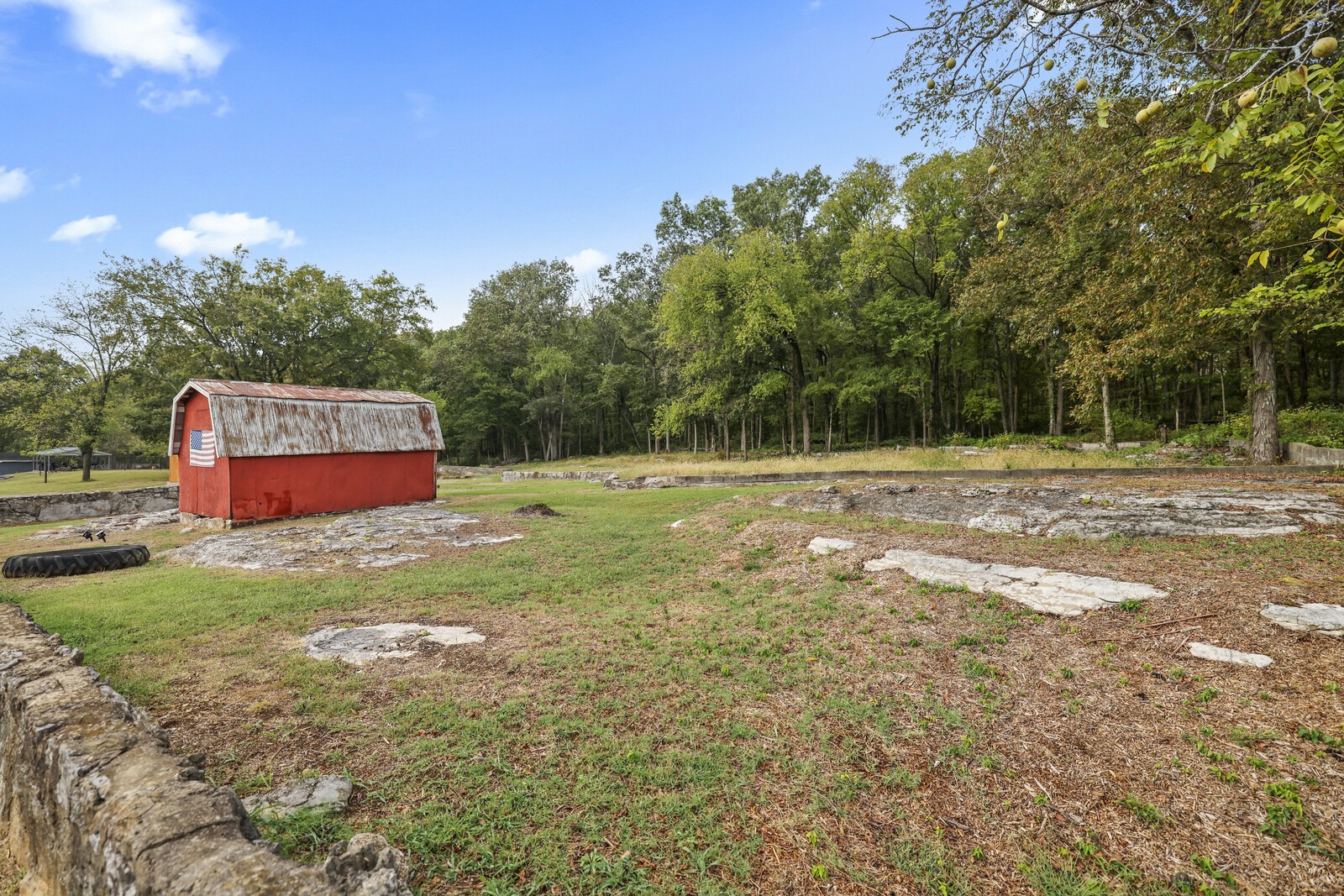 233 Rucker Road Murfreesboro, TN 37127 - Photo 40 of 55 a view of a park with large trees