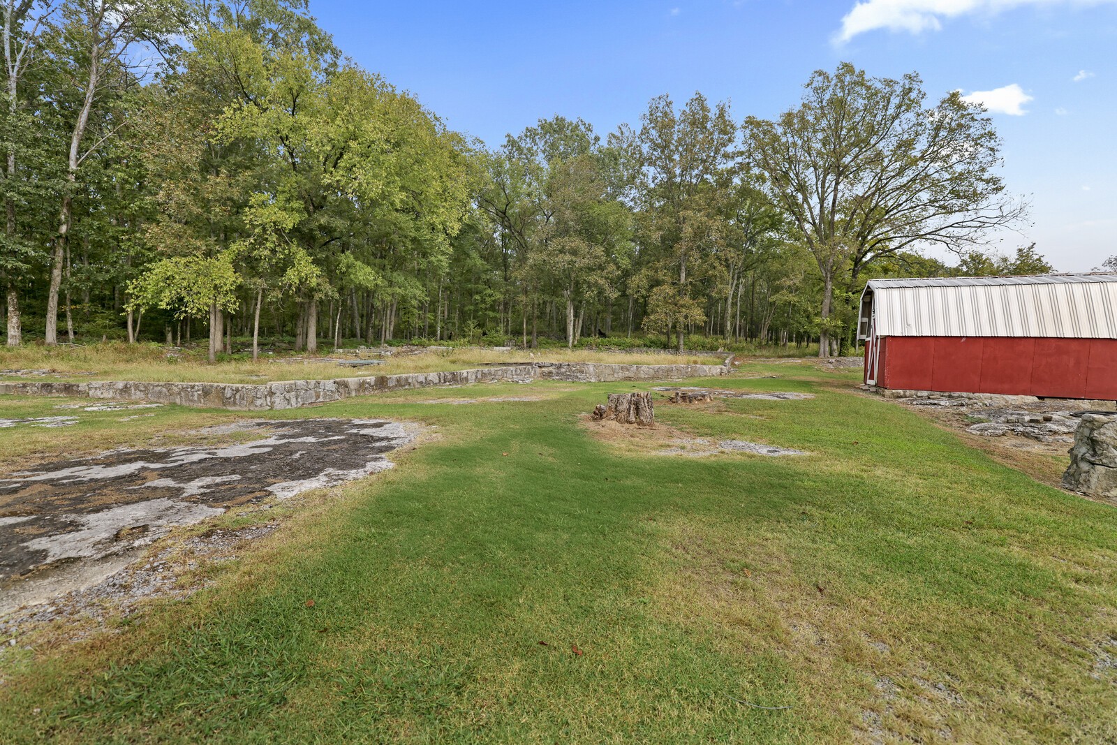 233 Rucker Road Murfreesboro, TN 37127 - Photo 41 of 55 a view of a backyard