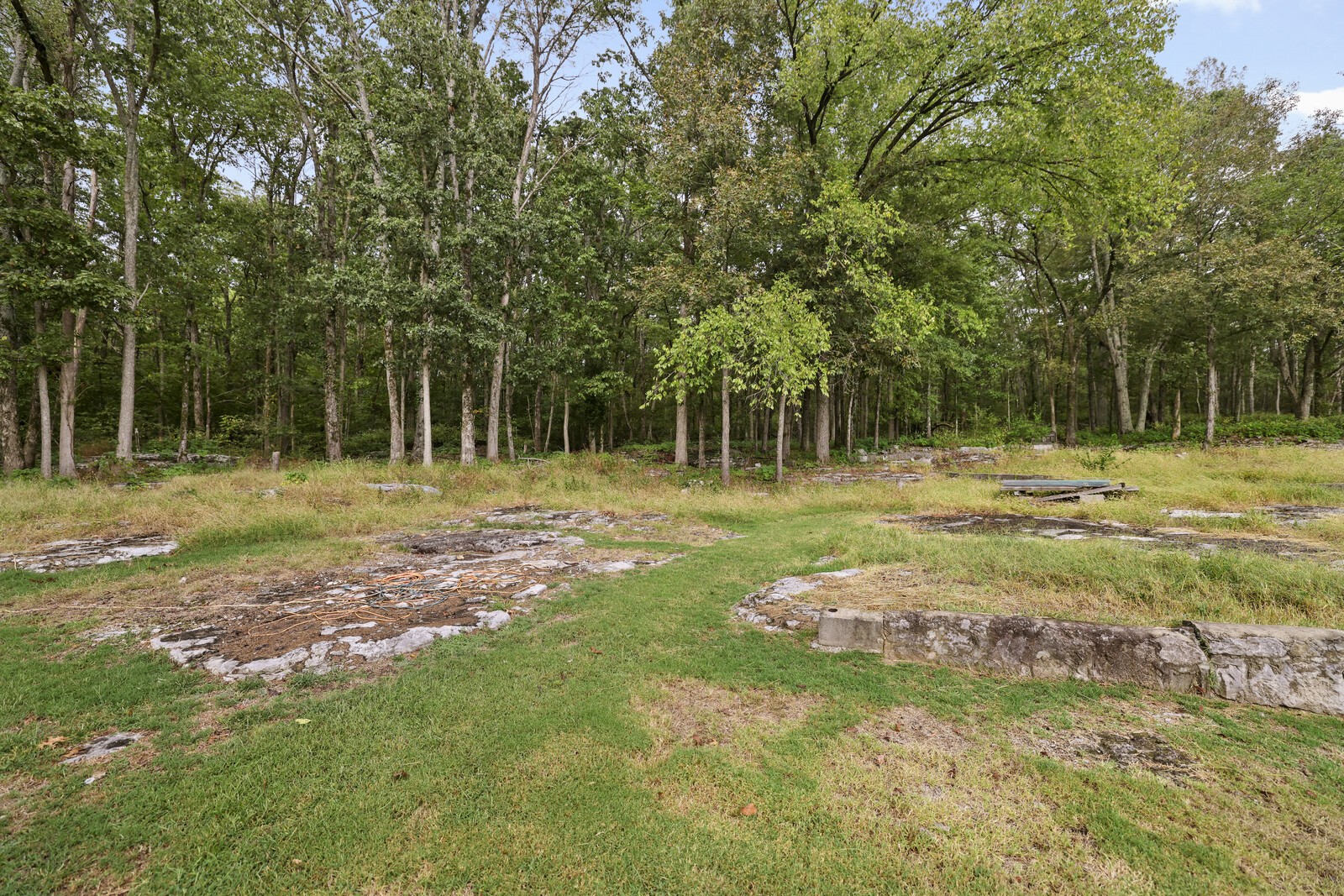 233 Rucker Road Murfreesboro, TN 37127 - Photo 42 of 55 a backyard of a house with a fountain and large trees