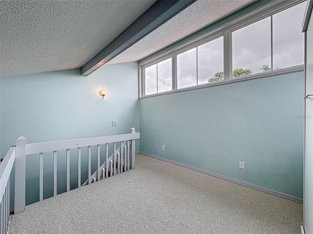 9127 Lingrove Road Weeki Wachee, FL 34613 - Photo 49 of 91