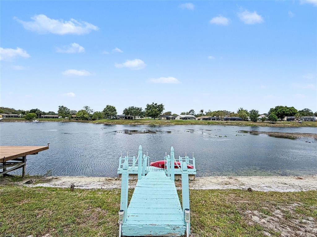 9127 Lingrove Road Weeki Wachee, FL 34613 - Photo 59 of 91