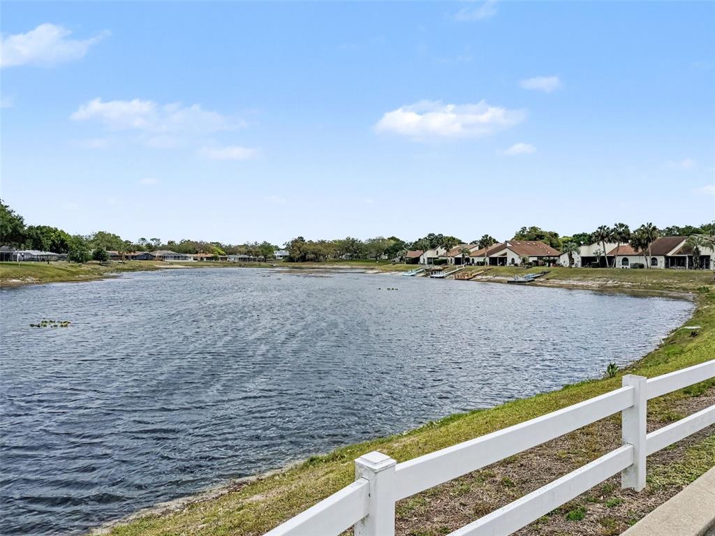 9127 Lingrove Road Weeki Wachee, FL 34613 - Photo 65 of 91