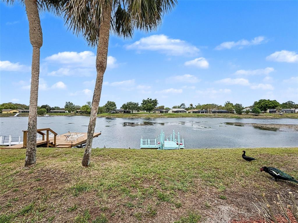 9127 Lingrove Road Weeki Wachee, FL 34613 - Photo 68 of 91