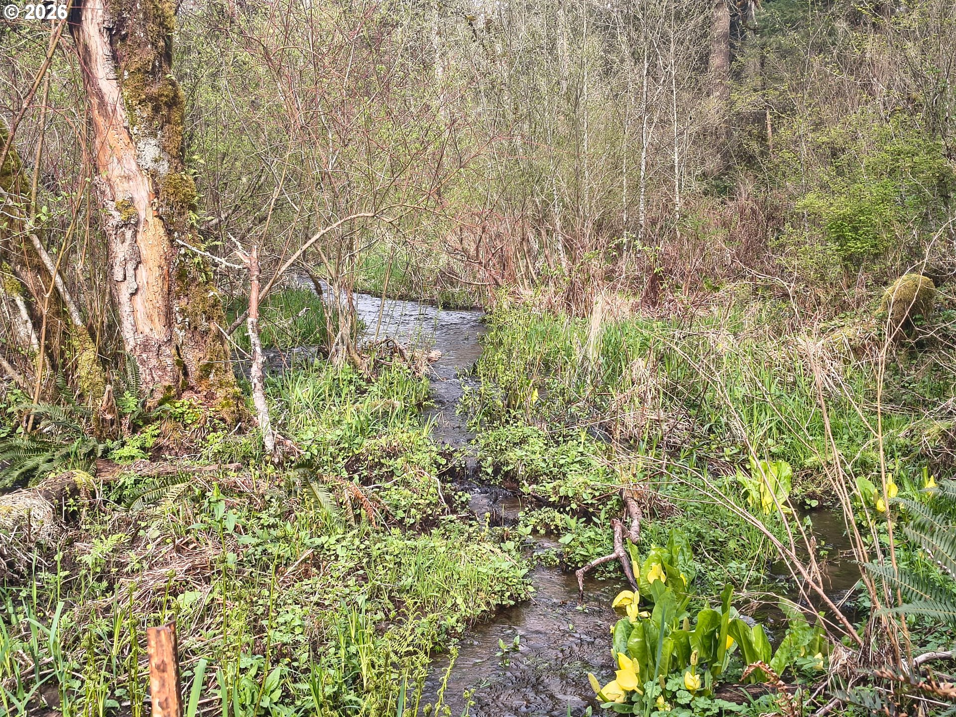 23009 Northeast Dole Valley Road Yacolt, WA 98675 - Photo 42 of 48