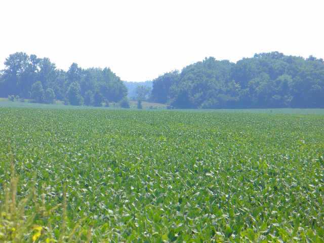 13293 School Lane Road Sunbury, OH 43074 - Photo 1 of 2