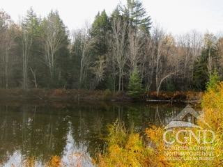 274 Route 65 Route, Unit 41 Hensonville, NY 12439 - Photo 28 of 28 Photo 28