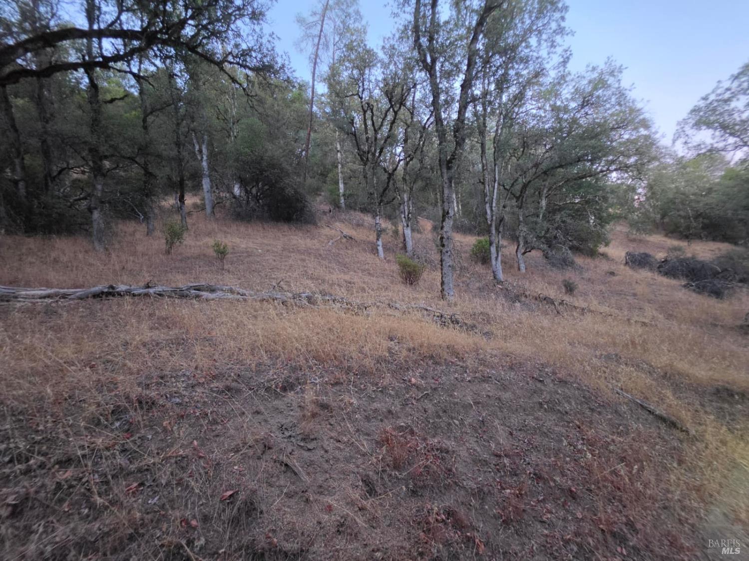 20655 Etsel Ridge Road Covelo, CA 95428 - Photo 11 of 37 Gallery Image 11
