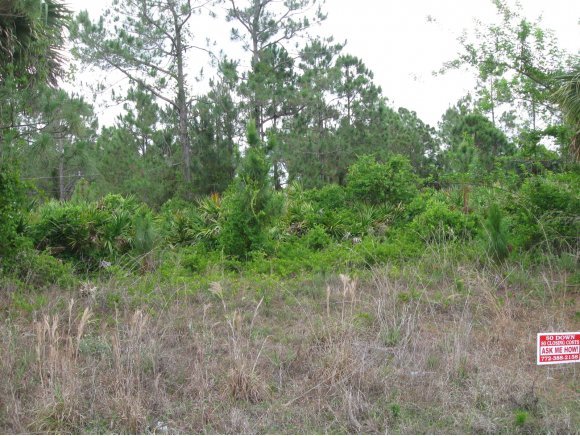 1685 Tharp Road Southeast Palm Bay, FL 32909 - Photo 1 of 1 Primary Photo