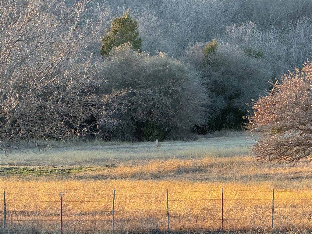 3078 Admire Road Nocona, TX 76255 - Photo 36 of 40