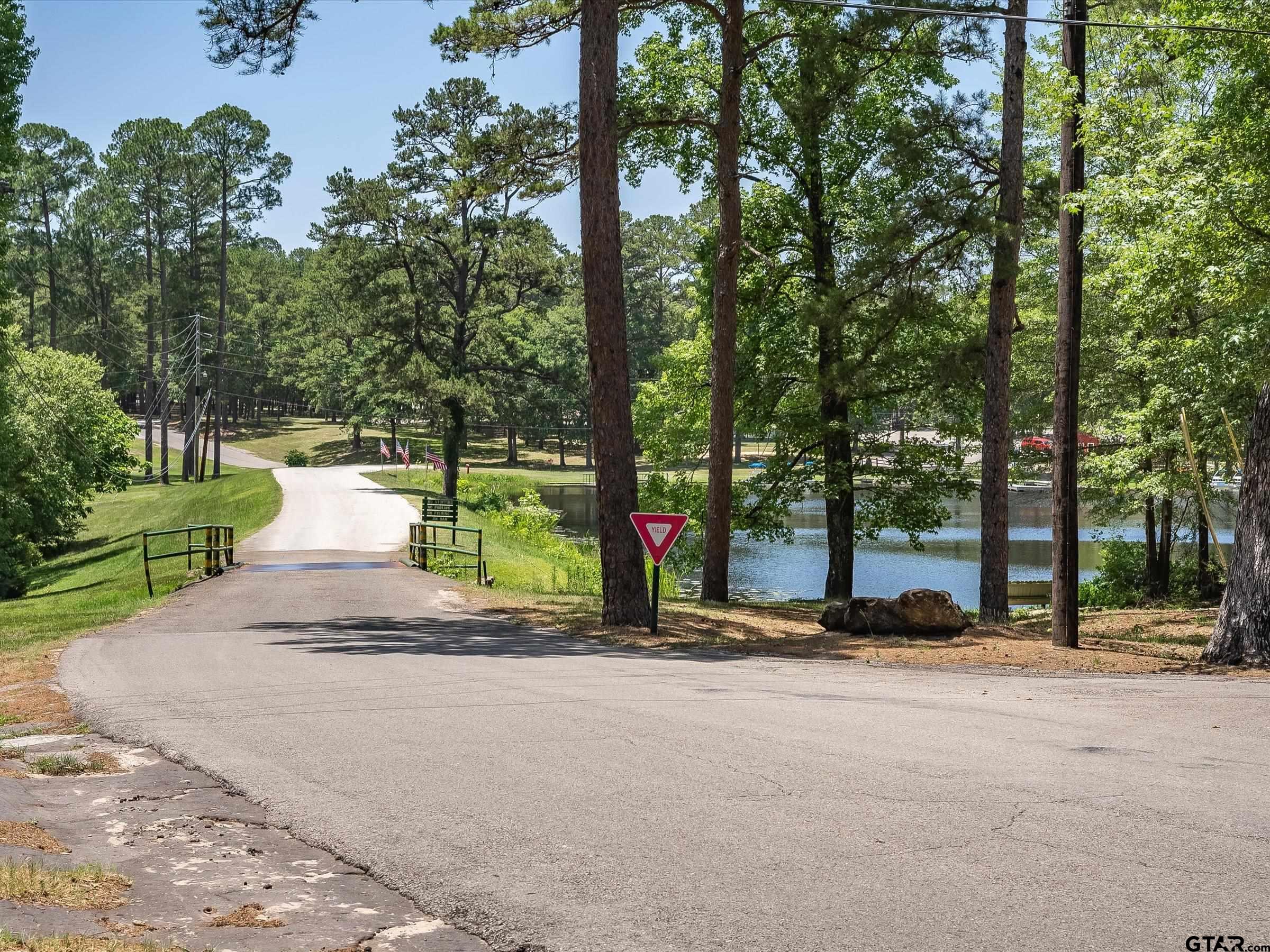 289 Llano Bend Holly Lake Ranch, TX 75765 - Photo 27 of 48 a view of street with tall trees
