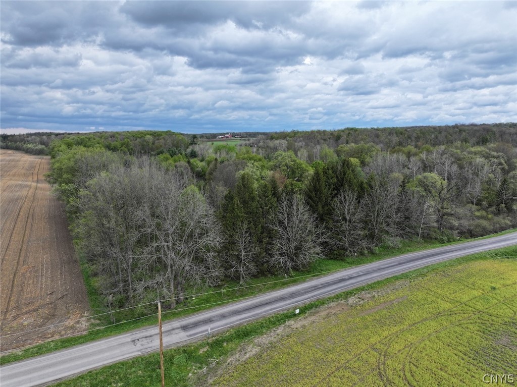 Youngs Road Conewango Valley, NY 14726 - Photo 9 of 32 Gallery Image 9