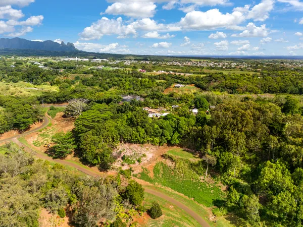 a view of a large yard
