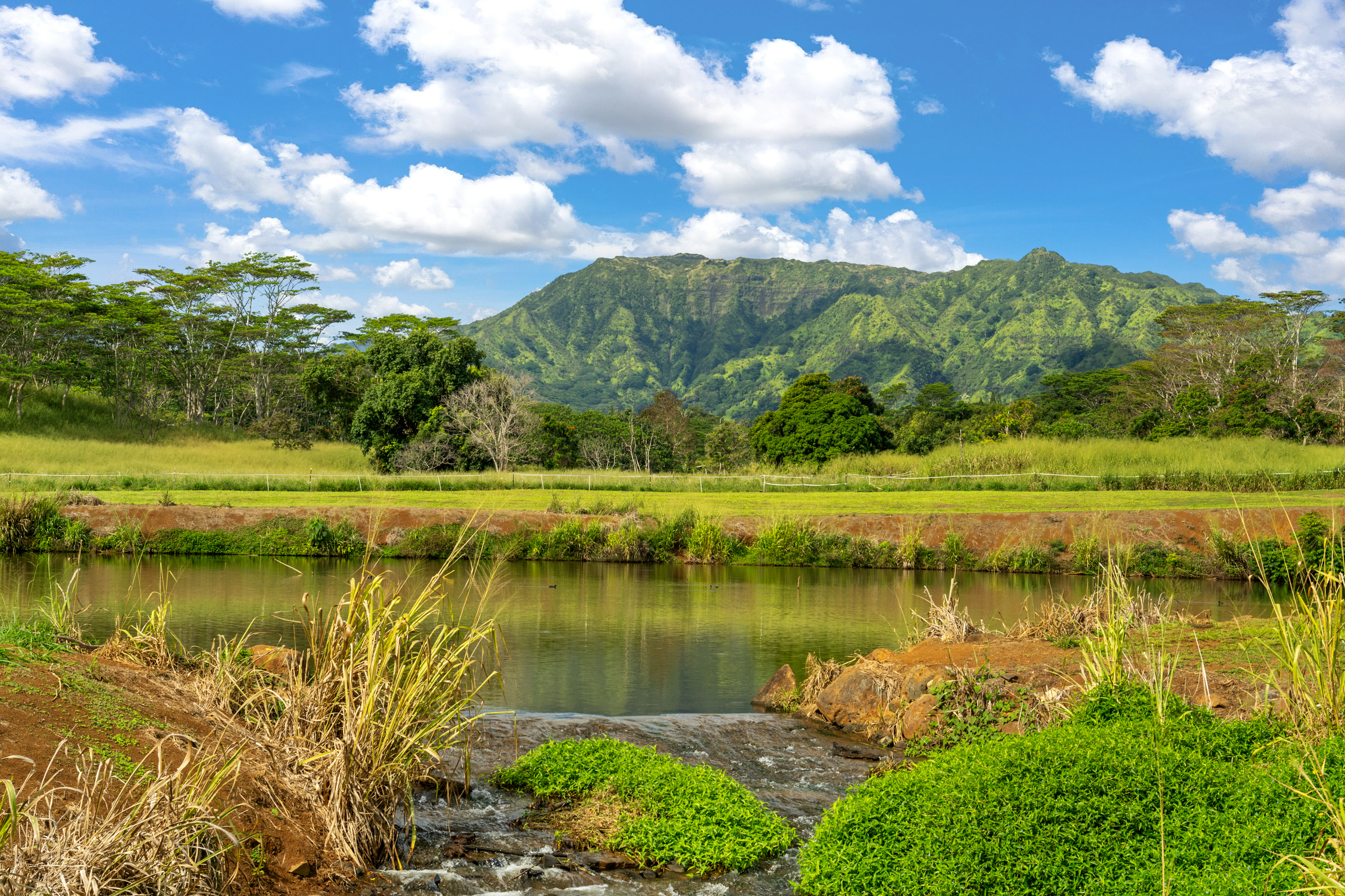 Kana Street, Unit 10B Kapaa, HI 96746 - Photo 4 of 7 a view of a lake with a yard