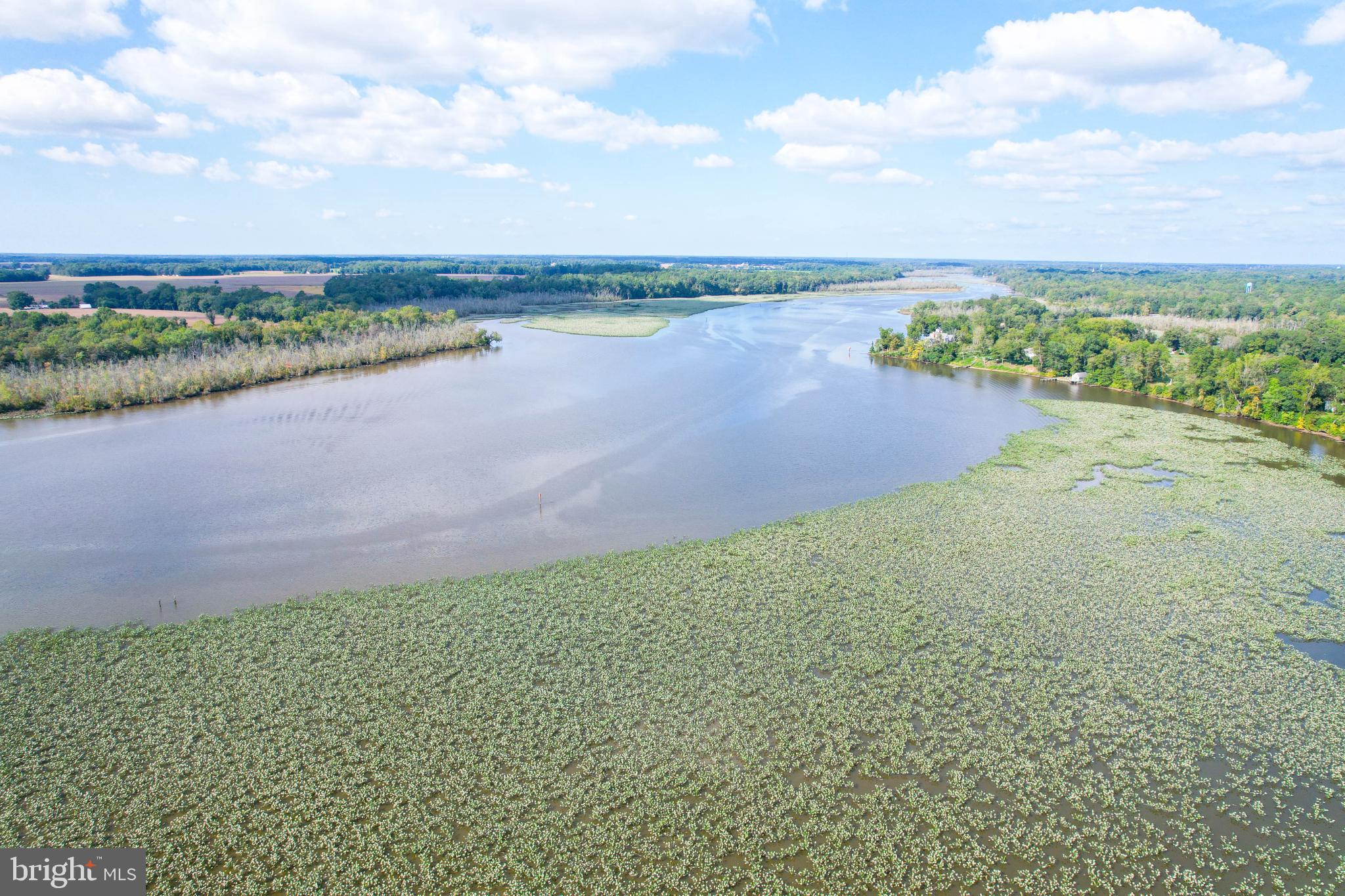 24800 Pealiquor Road Denton, MD 21629 - Photo 107 of 114 a view of a lake with houses in the back