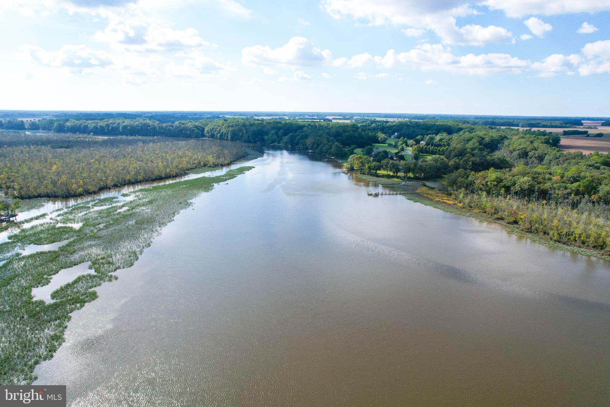 24800 Pealiquor Road Denton, MD 21629 - Photo 108 of 114