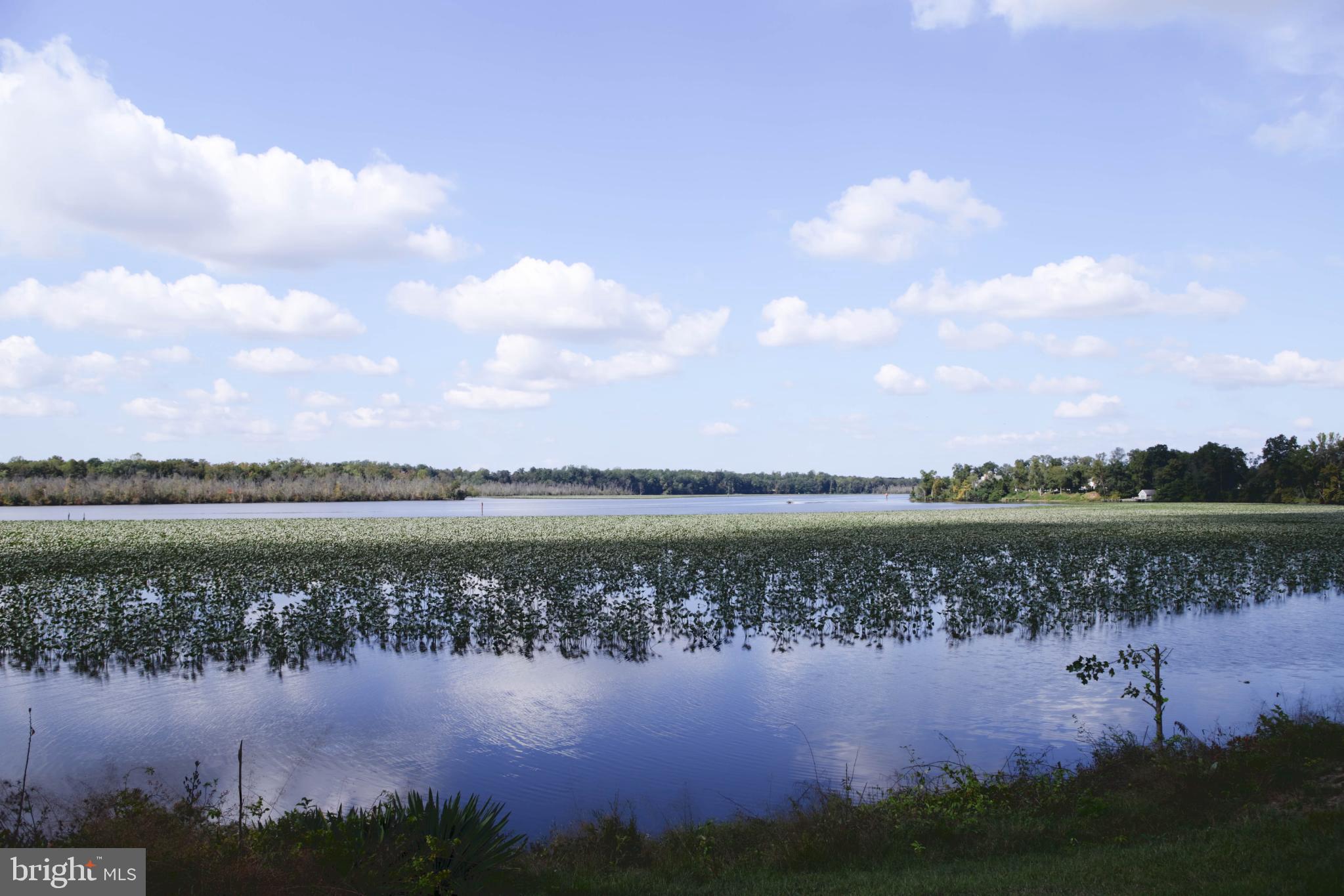 24800 Pealiquor Road Denton, MD 21629 - Photo 24 of 114