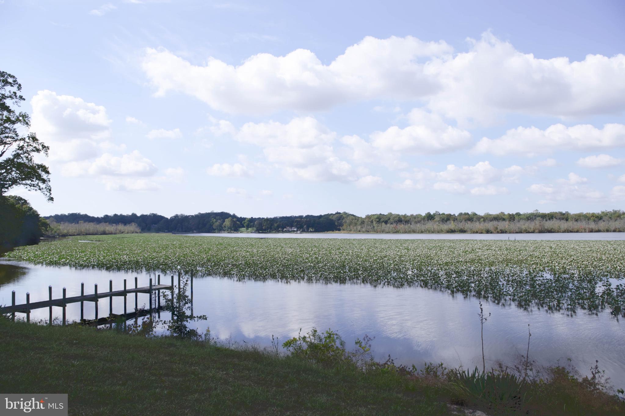 24800 Pealiquor Road Denton, MD 21629 - Photo 25 of 114 Private dock.