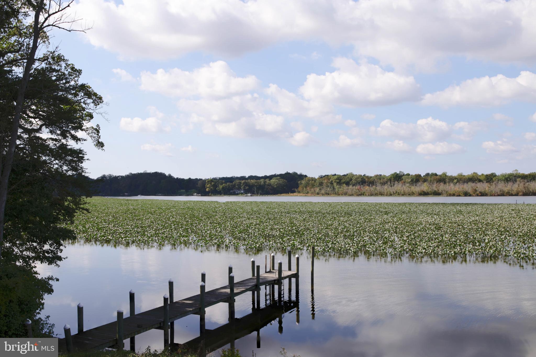 24800 Pealiquor Road Denton, MD 21629 - Photo 27 of 114