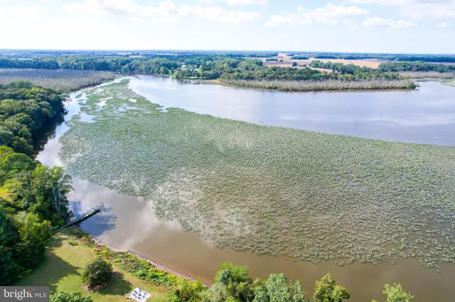 $1,295,000 | 24800 Pealiquor Road, Denton, MD 21629