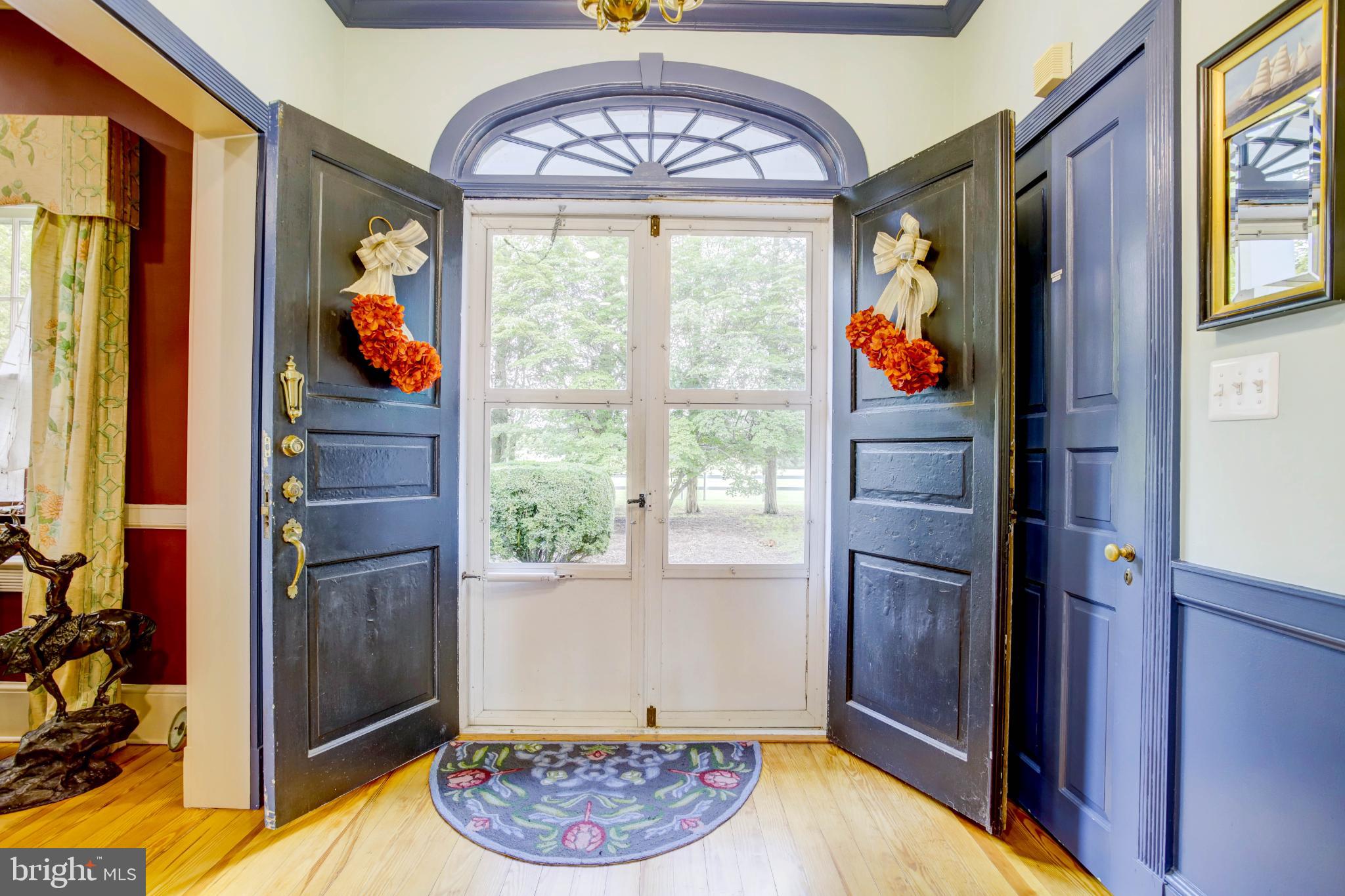 24800 Pealiquor Road Denton, MD 21629 - Photo 10 of 114 Gorgeous solid wood entry double-doors.