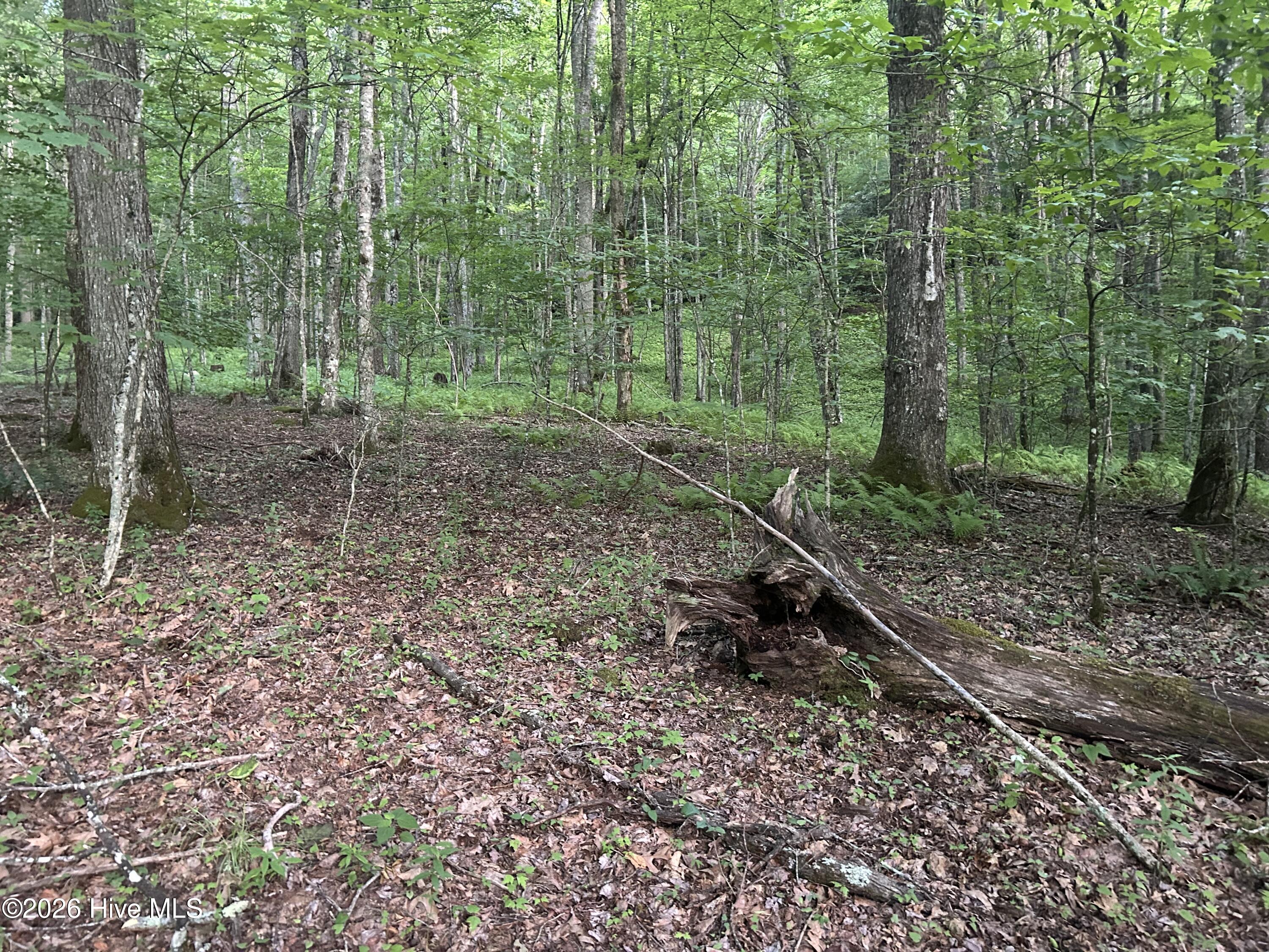 0 Otter Creek Road Topton, NC 28781 - Photo 5 of 20