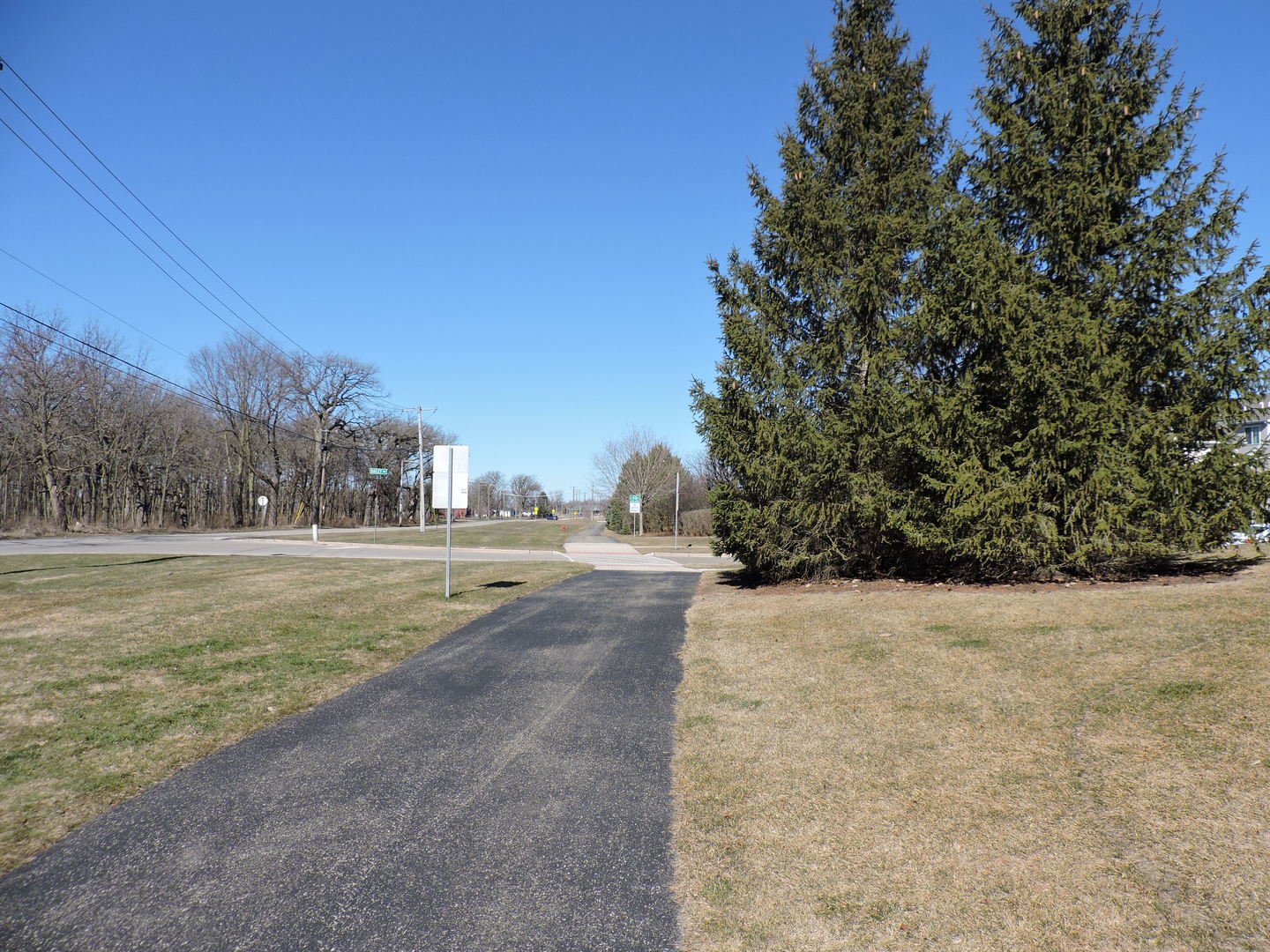 3726 Bailey Road Yorkville, IL 60560 - Photo 20 of 21 a view of a field with an trees