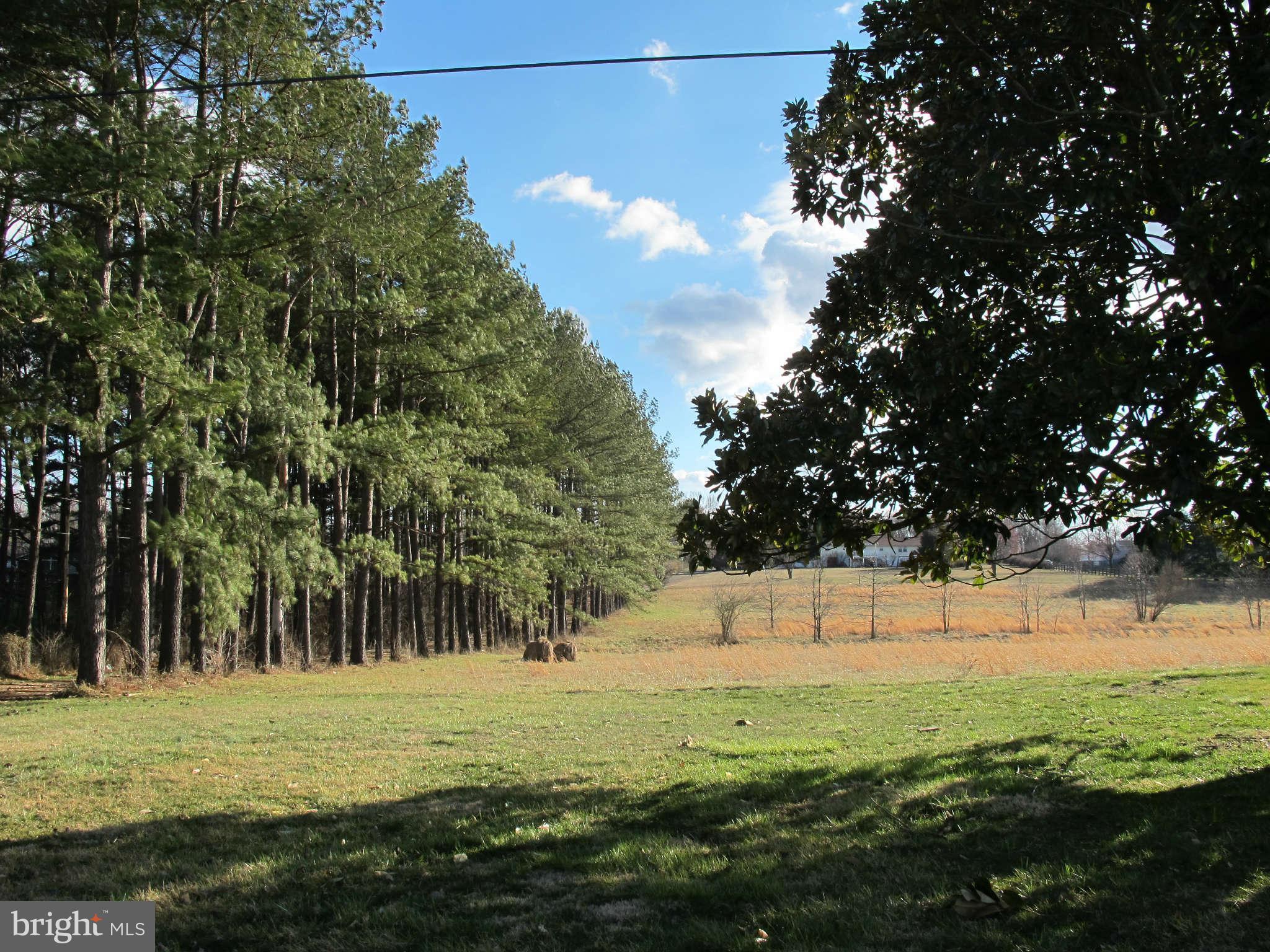 7459 Kennedy Road Nokesville, VA 20181 - Photo 14 of 30 Exterior (Front)
