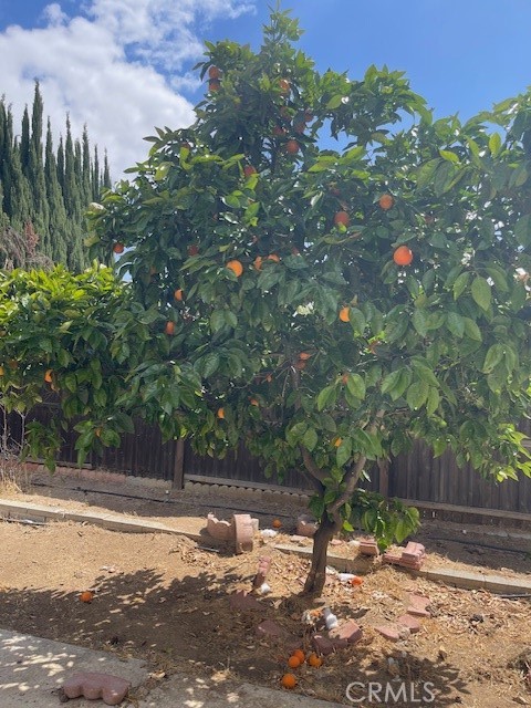 19284 Krameria Avenue Riverside, CA 92508 - Photo 23 of 26 a backyard of a house with lots of green space