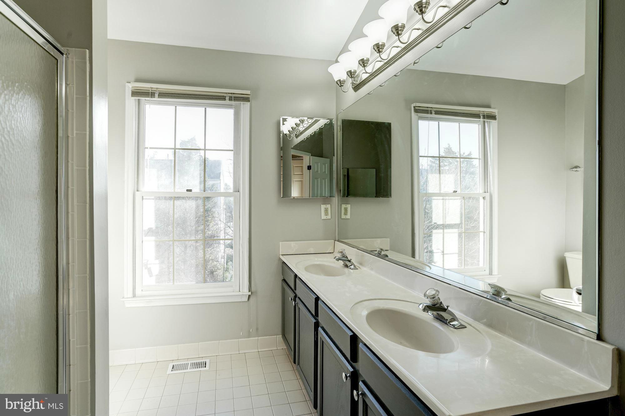 46917 Rabbitrun Terrace Sterling, VA 20164 - Photo 15 of 29 Bath (Master)