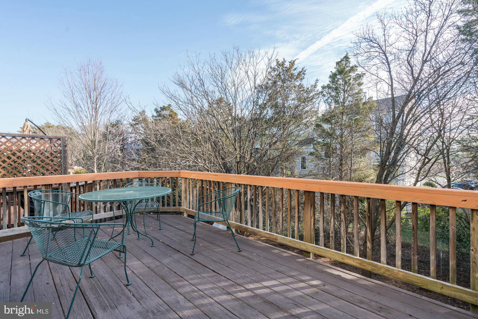 46917 Rabbitrun Terrace Sterling, VA 20164 - Photo 28 of 29 Exterior (Rear)