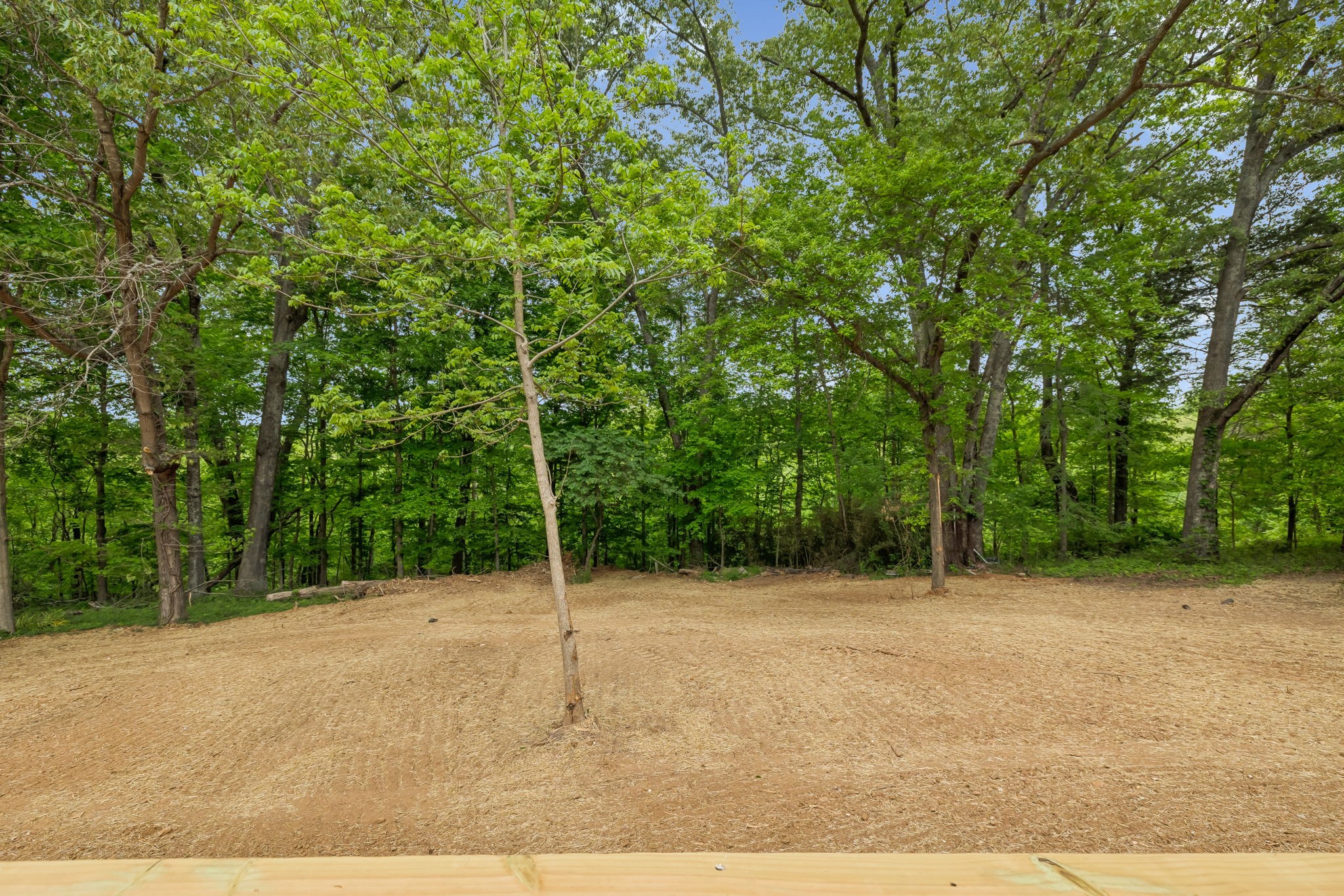 272 Portland Lake Road Portland, TN 37148 - Photo 36 of 39 Gallery Image 36