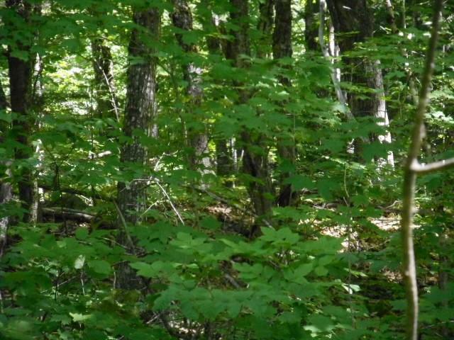4 B 116th Route Lincoln, ME 04457 - Photo 9 of 12 Photo