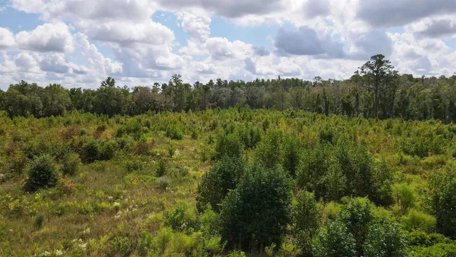 $1,200,000 | Tbd Northeast 36th Drive, Jasper, FL 32052