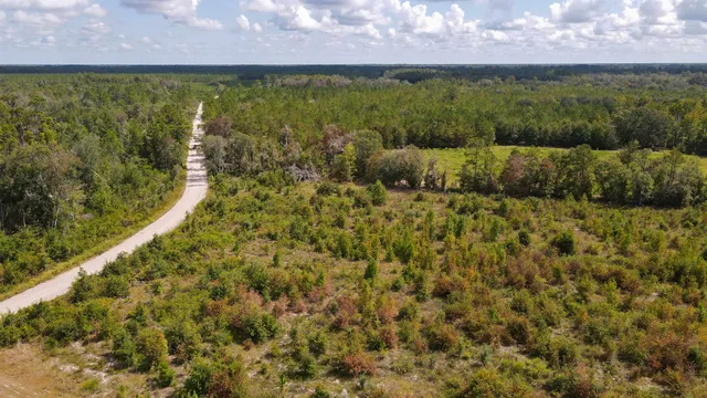 $1,200,000 | Tbd Northeast 36th Drive, Jasper, FL 32052