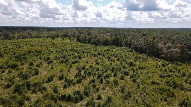 $1,200,000 | Tbd Northeast 36th Drive, Jasper, FL 32052