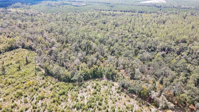 $1,200,000 | Tbd Northeast 36th Drive, Jasper, FL 32052