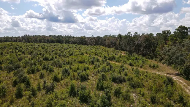 $1,200,000 | Tbd Northeast 36th Drive, Jasper, FL 32052