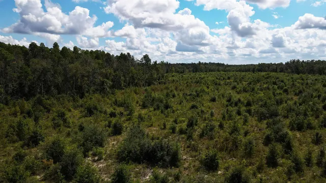 $1,200,000 | Tbd Northeast 36th Drive, Jasper, FL 32052