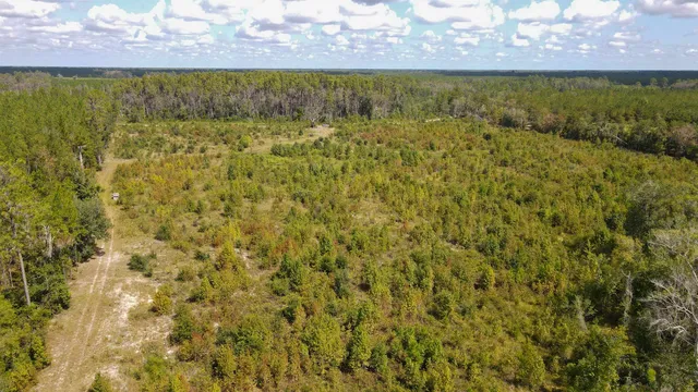$1,200,000 | Tbd Northeast 36th Drive, Jasper, FL 32052