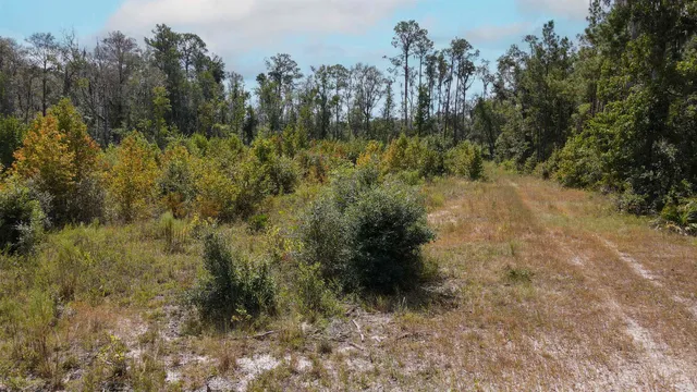 $1,200,000 | Tbd Northeast 36th Drive, Jasper, FL 32052