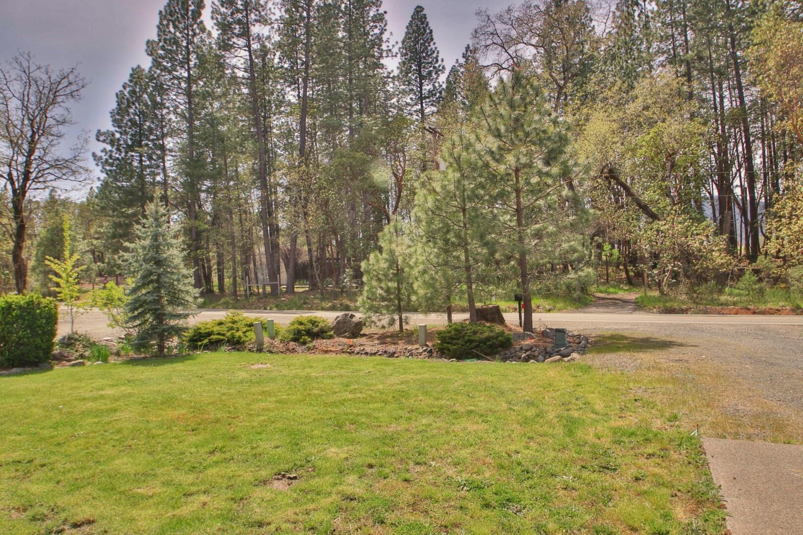 921 North Old Stage Road Cave Junction, OR 97523 - Photo 35 of 37 35-View From Front of Home(1)