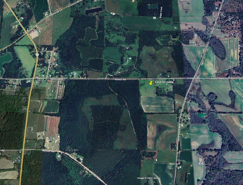 5.8-acres Nobles Road Cottonwood, AL 36320 - Photo 27 of 29
