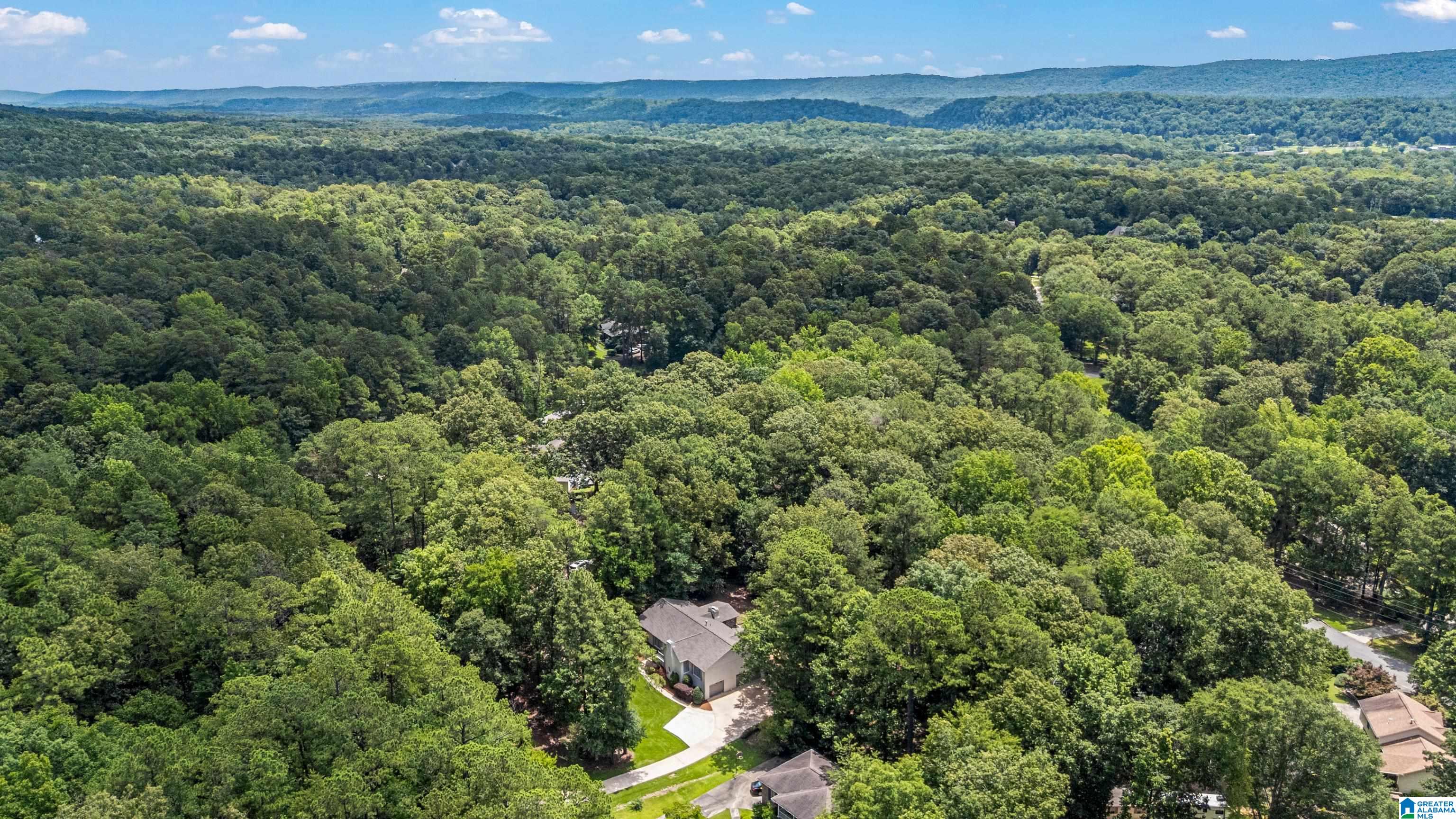 499 New Hope Mountain Road Pelham, AL 35124 - Photo 59 of 62